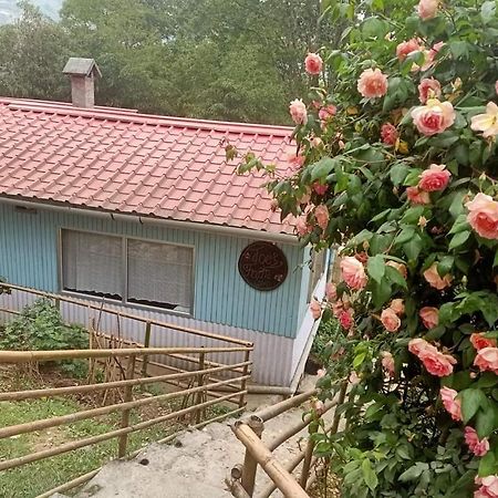 Villa Joe'S Farm à Darjeeling  Extérieur photo