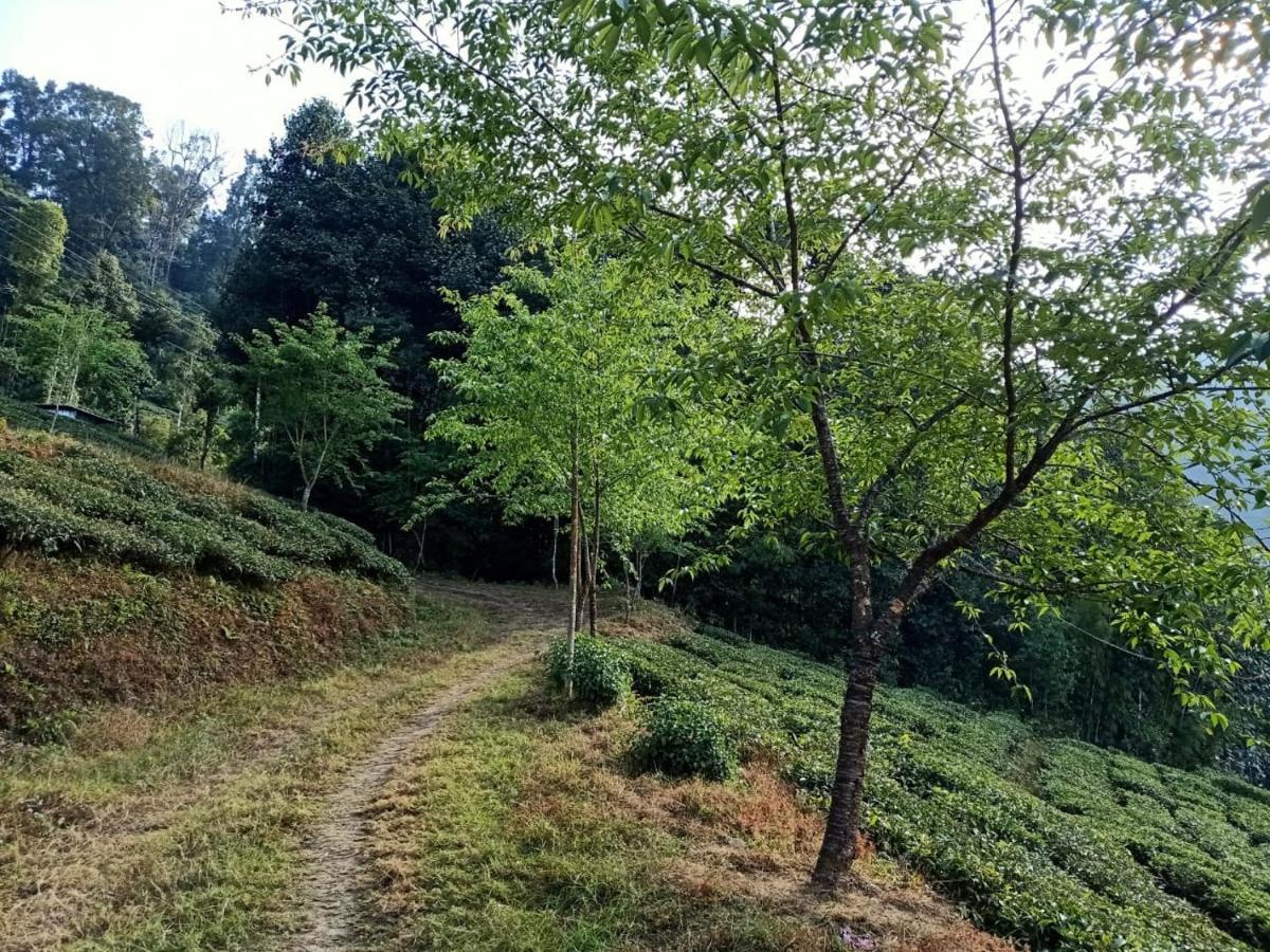 Villa Joe'S Farm à Darjeeling  Extérieur photo